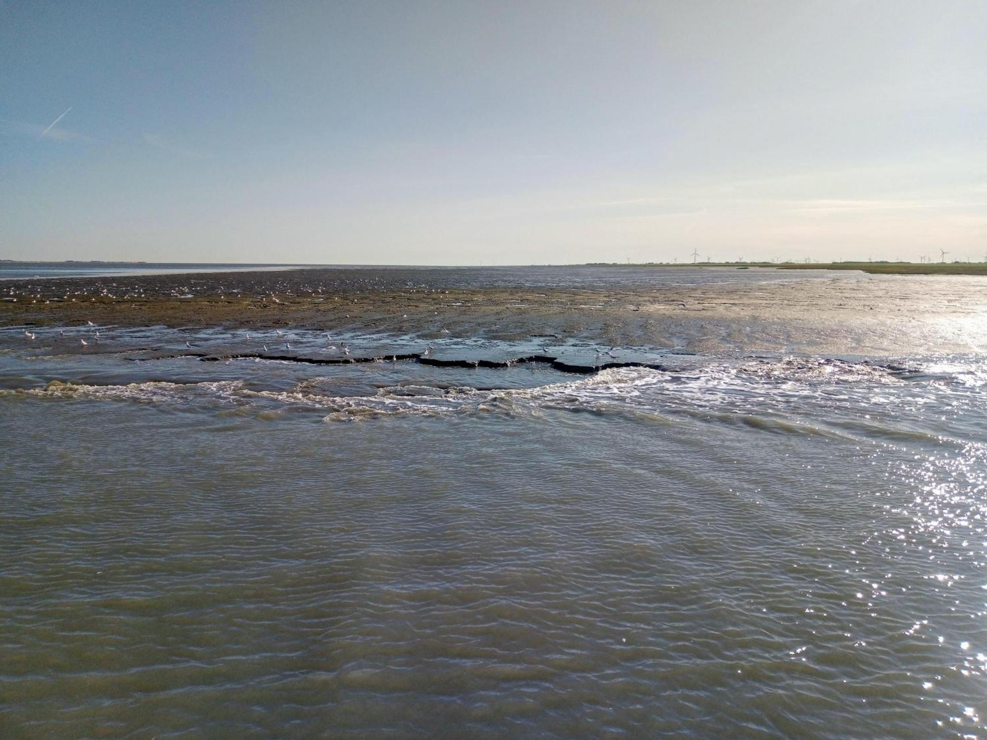 Drei-Insel-Blick Neßmersiel Kültér fotó