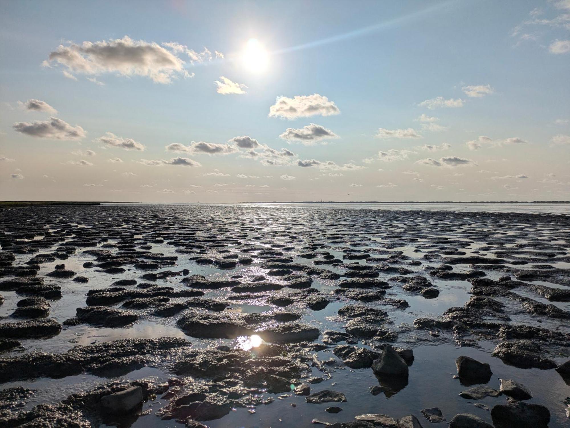 Drei-Insel-Blick Neßmersiel Kültér fotó